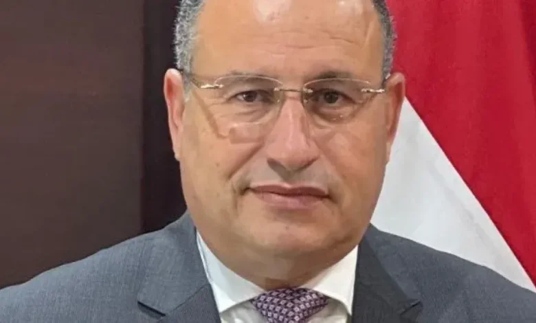 وزير التعليم العالي عبدالعزيز قنصوة