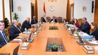 بدر عبد العاطي يجتمع بمجلس إدارة الوكالة المصرية للشراكة من أجل التنمية