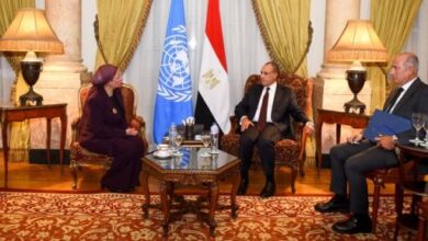 وزير الخارجية المصري خلال لقاء بشأن مكافحة التصحر