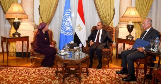 وزير الخارجية المصري خلال لقاء بشأن مكافحة التصحر