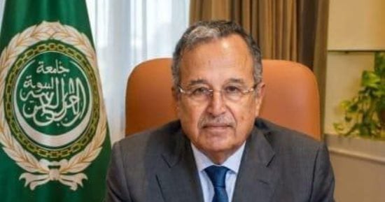 الأمين العام لجامعة الدول العربية نبيل فهمي في صورة أرشيفية
