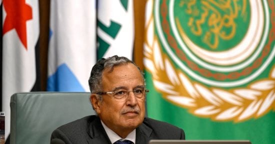 الأمين العام لجامعة الدول العربية نبيل فهمي في صورة أرشيفية