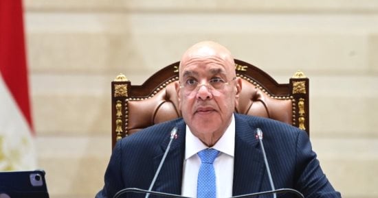 رئيس مجلس النواب المستشار هشام بدوي في صورة أرشيفية