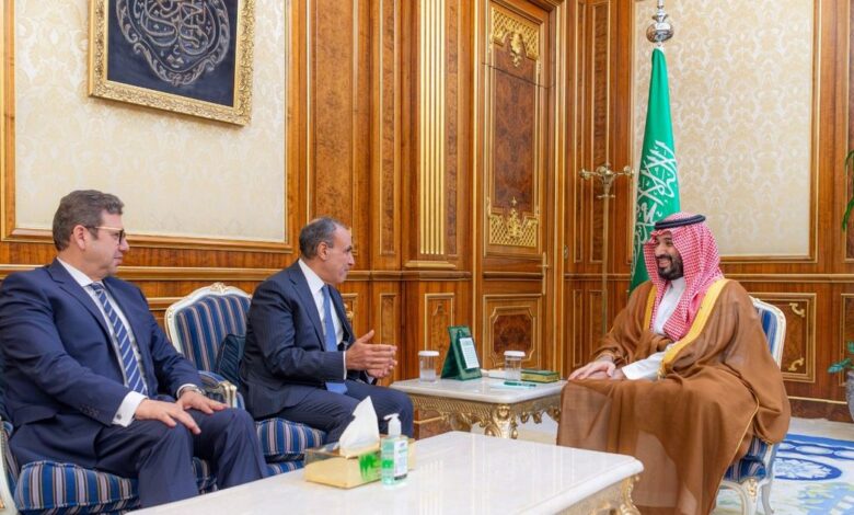 ولي العهد السعودي خلال استقباله الوفد المصري في الرياض