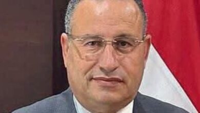 وزير التعليم العالي عبد العزيز قنصوة في صورة أرشيفية