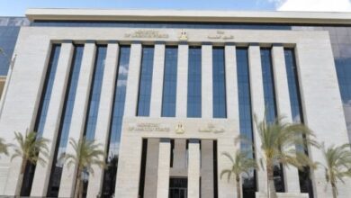 وزارة العمل المصرية في صورة أرشيفية