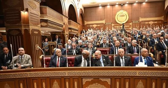 مجلس الشيوخ المصري من الداخل